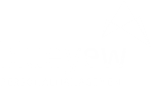 Logo blueyew